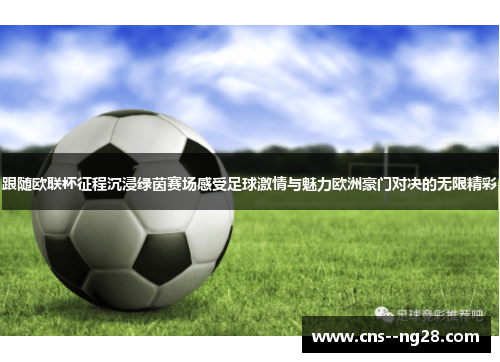 跟随欧联杯征程沉浸绿茵赛场感受足球激情与魅力欧洲豪门对决的无限精彩