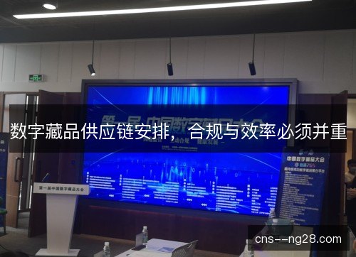 数字藏品供应链安排，合规与效率必须并重